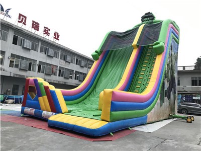 Custom Made Printing High Inflatable Slide for Adult or Kids